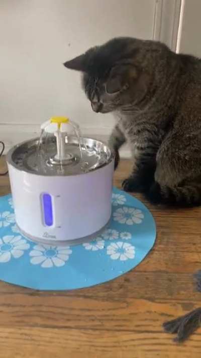 &ldquo;Whats dis? Water?&rdquo;