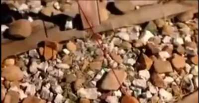 Amazing marksmanship of a blind archer.