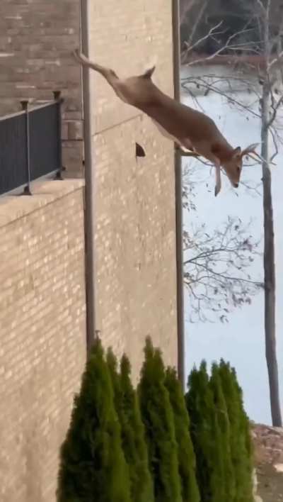 Watch the landing