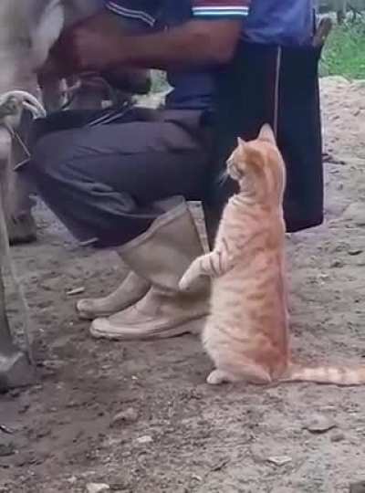 Made my day better
