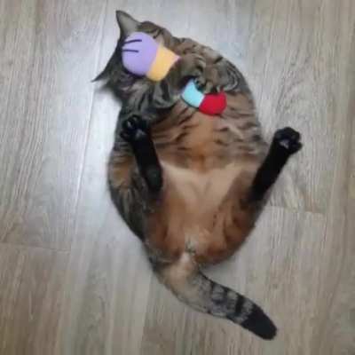 Chonkerpillar