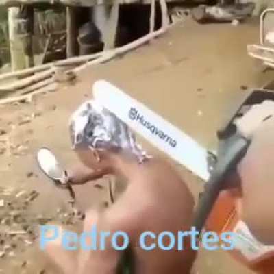 Pedro