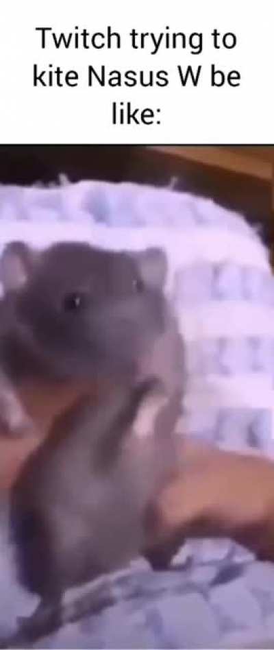 twic 🐀