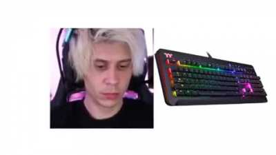XD