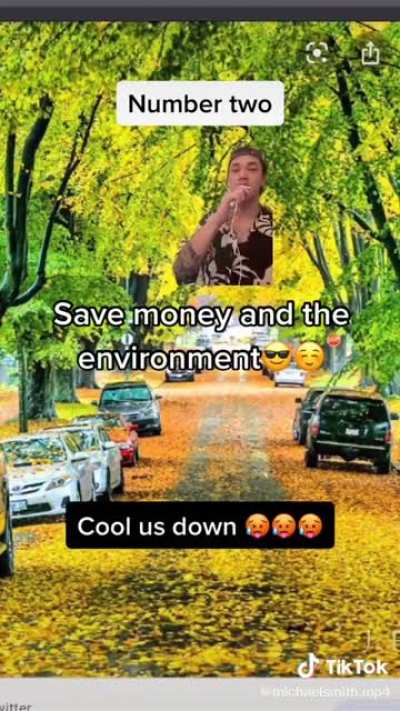 Plant more trees!!