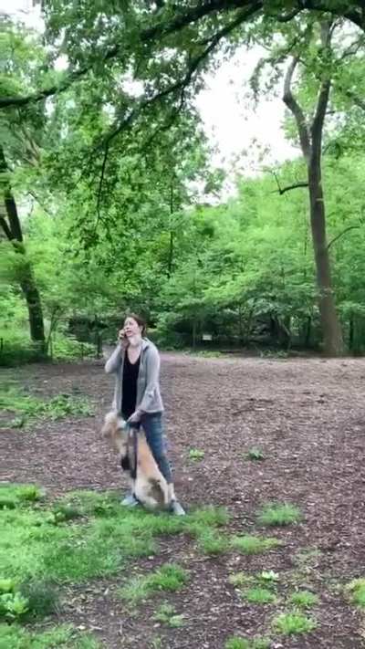Lady chokes her dog and lies to police about "african-american" man threatening her