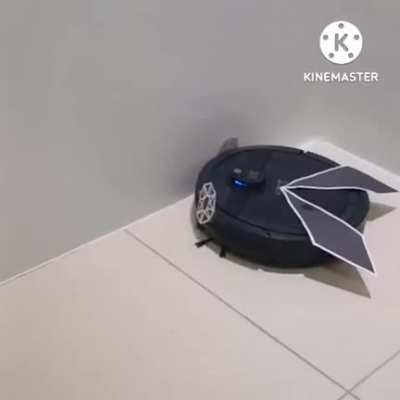 Vib Roomba