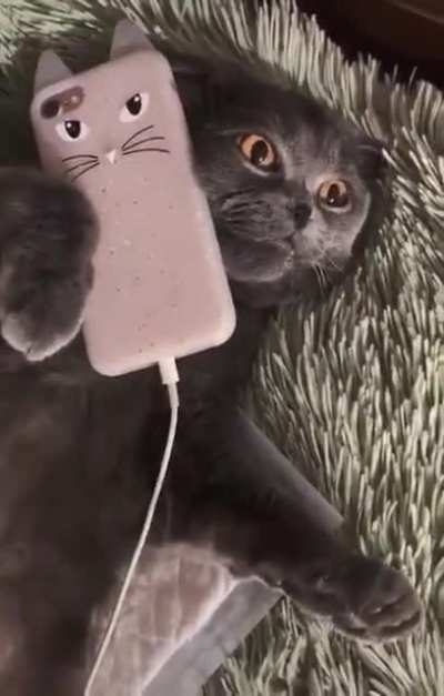 When you call your girlfriend and it goes to voicemail