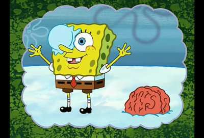 sponge