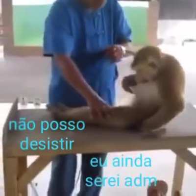 S&eacute;rio