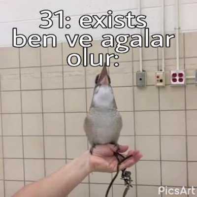 GıZlAr aNlaMaz Sj