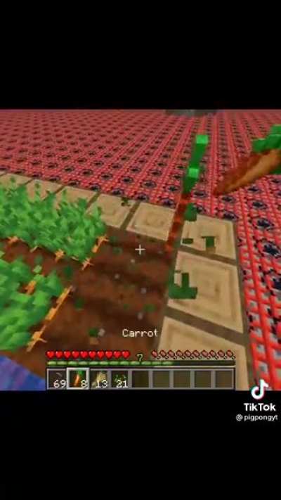 What da Enderman doin?