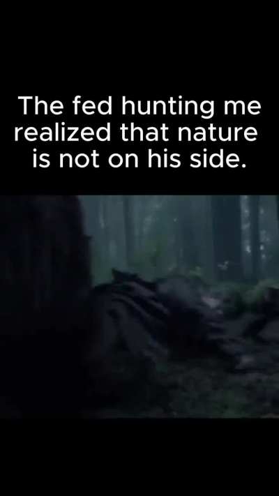 Bears are cool.