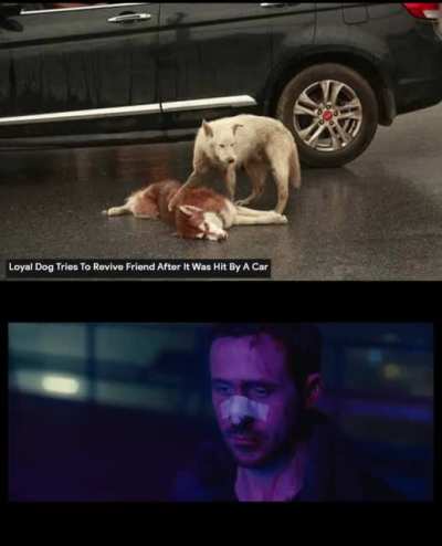😢