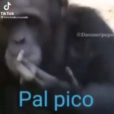 Kong despu&eacute;s de perder