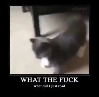 '-'