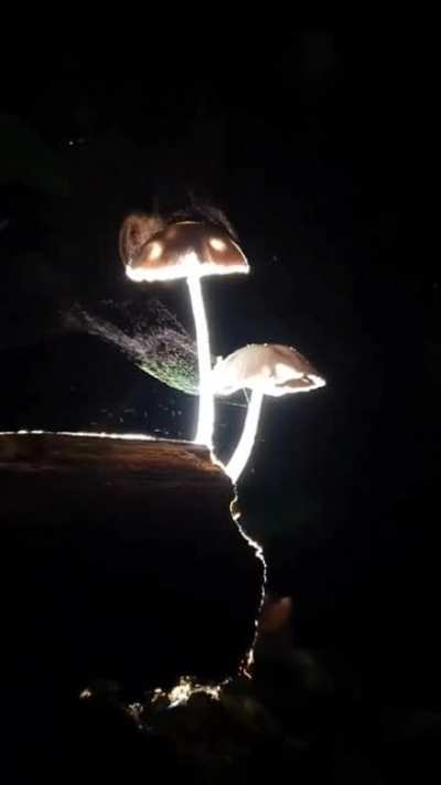 [general] thats pretty neat.