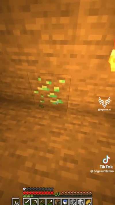 torch.mp4