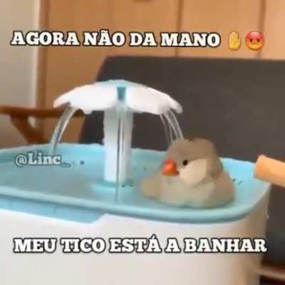 agora n&atilde;o 🤚😡