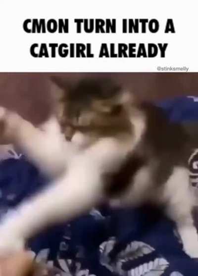 Interessanter Titel