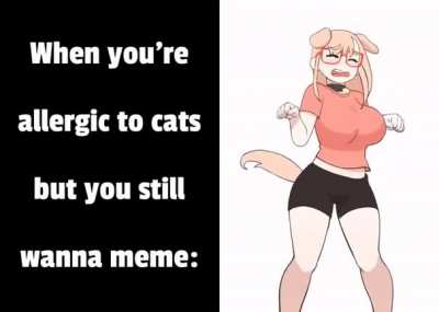 Thicc doggo is good too