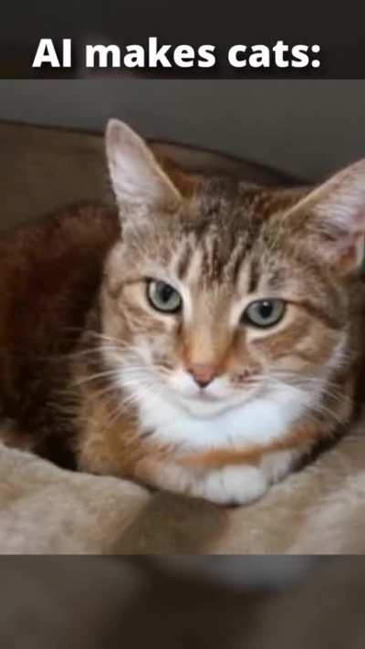 This cat does not exist