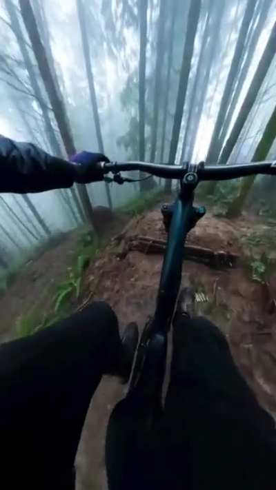 Mountain biking down hill.