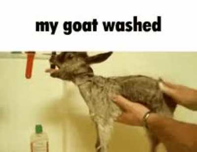 Turns out someone was grooming kids :(