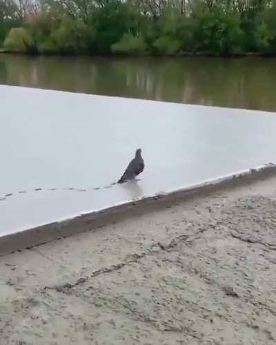 &ldquo;Fuck your concrete!&rdquo;