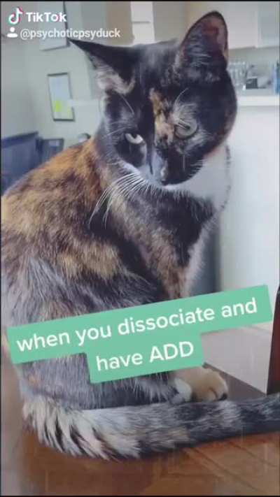It's dissociative Karen