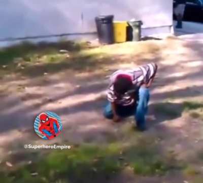 blursed_great video