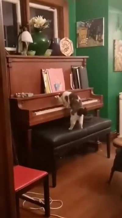 &ldquo;Imagine hearing this in the middle of the night for the first time though&rdquo;