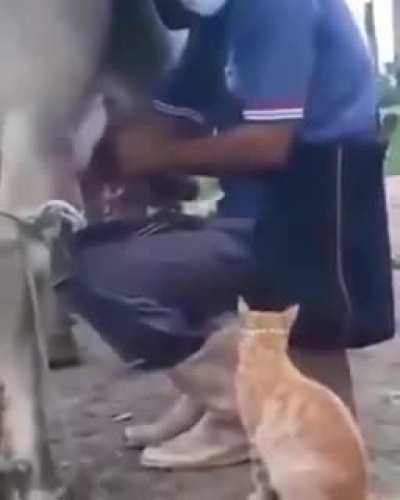 hmm