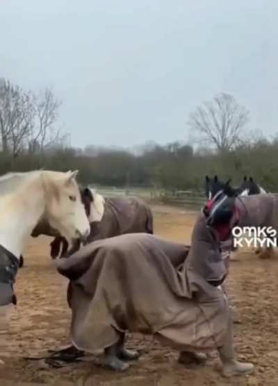 Maybe Maybe Maybe
