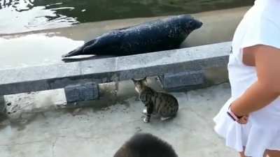 2 slaps they out!