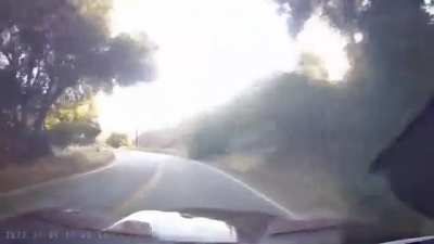 Single vehicle car crash, too fast on sharp turn causes a few flips off small ditch (no idiot harmed)