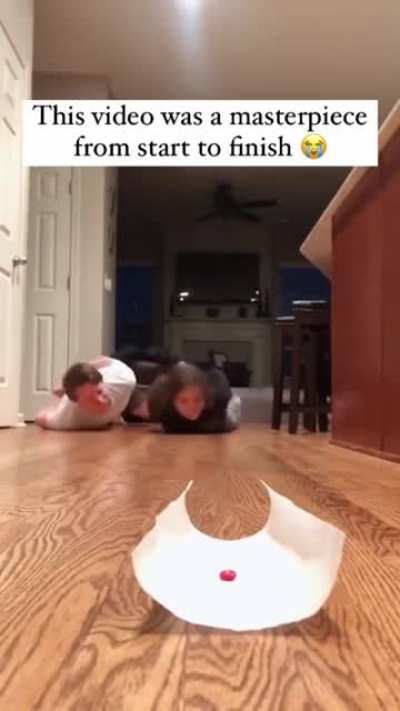 Stupid hoomans, ever heard of legs?