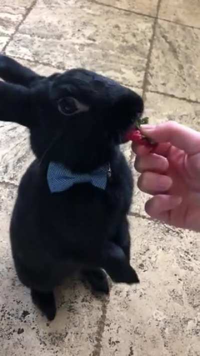 Will Work For Food