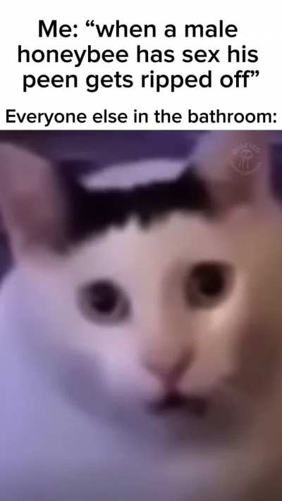 I just like to share facts
