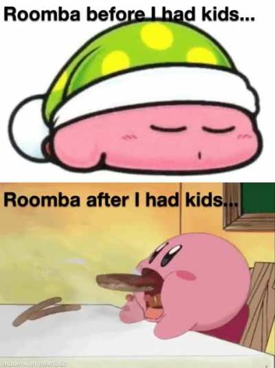 Roomba&rsquo;s Dreamland...