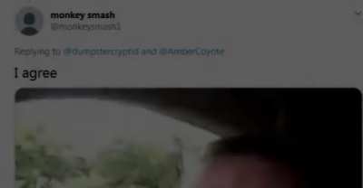 shitpost penis