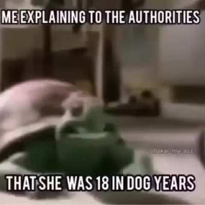 👉👈