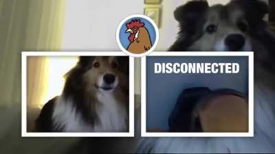 Esse v&iacute;deo &eacute; incr&iacute;vel ri muito