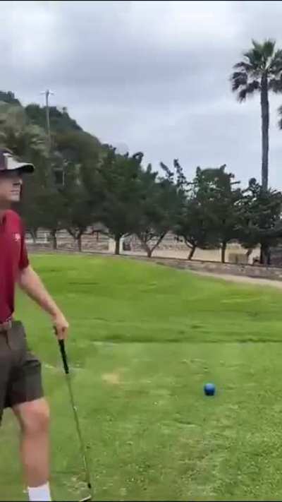 Get in the hole! 