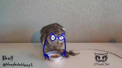B(owl) Appetit !