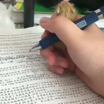Hold me