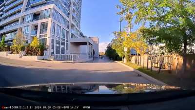 Oblivious Driver Cruises Past Carjacking in Progress &ndash; Caught on Dashcam