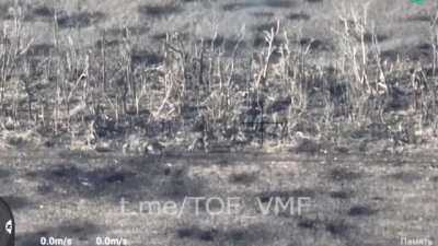 Close combat: Russian marines storm the trenches of Ukraine army near Ugledar