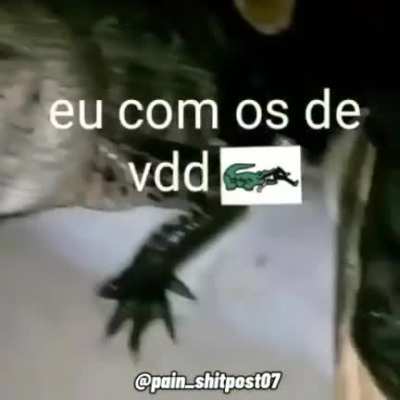 S&oacute; a gang 🐊🐊