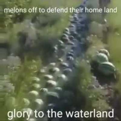 M&euml;l&ouml;n